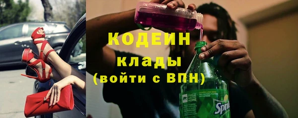2c-b Новозыбков