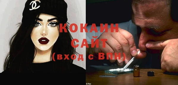 2c-b Новозыбков