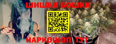индика Волжский