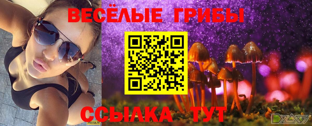 Сыктывкар  Псилоцибиновые грибы ЛСД  Вход с VPN 
